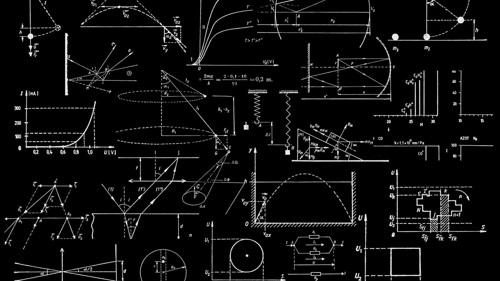 02 O cérebro como gestor de recursos finitos