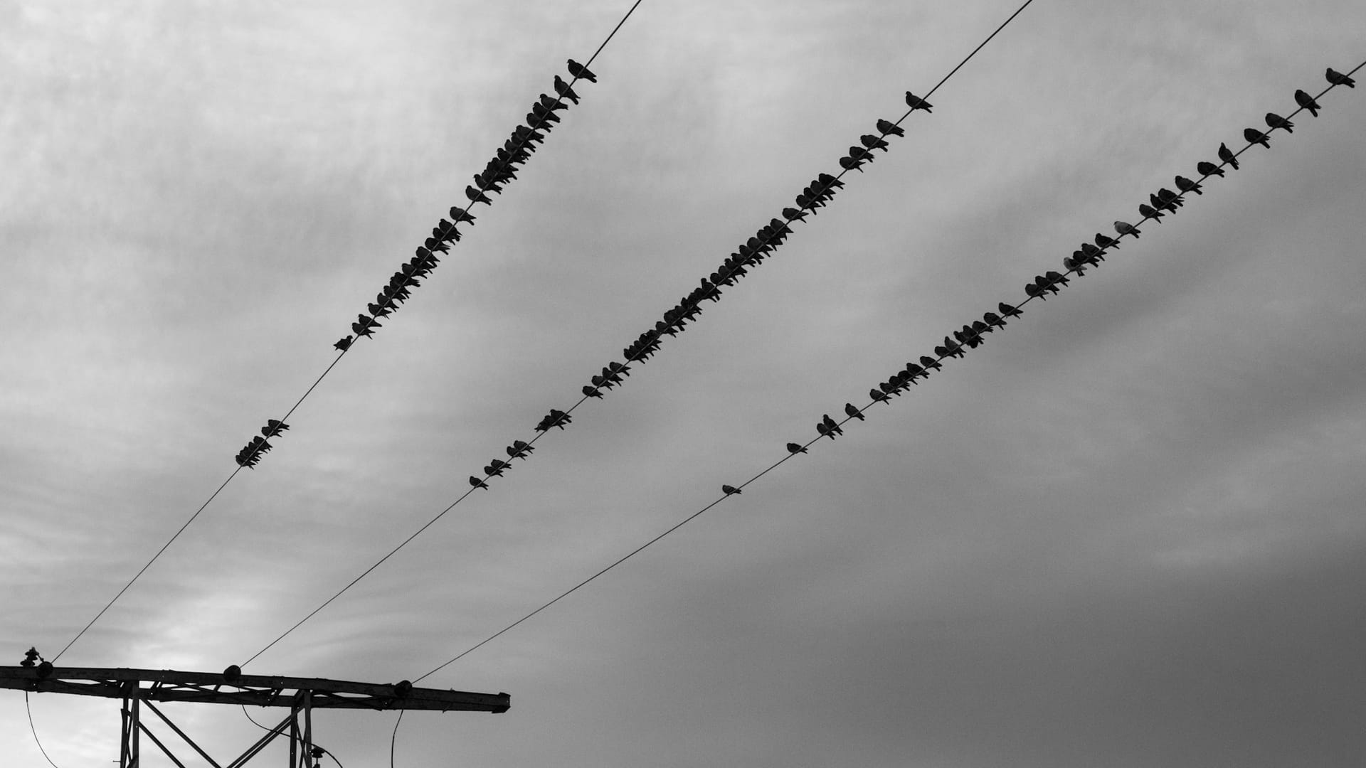 17.03 Caixa e bigodes