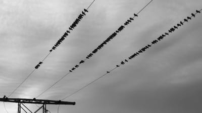 17.03 Caixa e bigodes