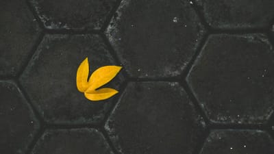 11.04 Processamento pré-atentivo e saliência